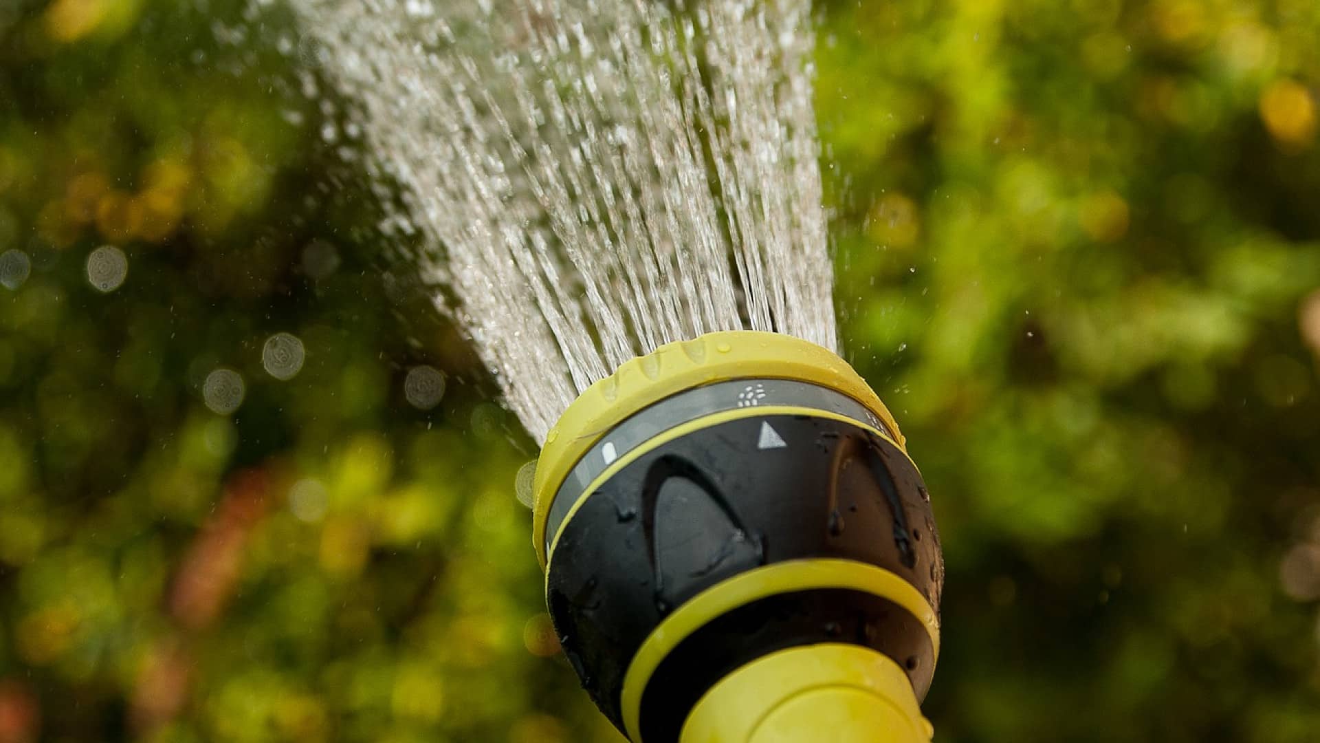 Arroser ses plantes de façon optimale