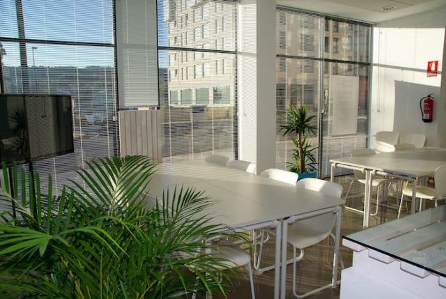 immobilier entreprise coworking