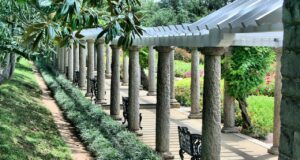 une pergola construite après déclaration travaux pergola