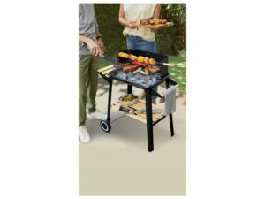 barbecue charbon LIDL