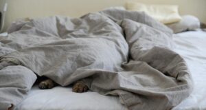 choisir matiere couette