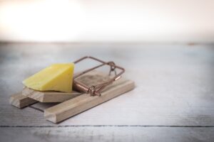 debarrasser rats logement