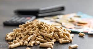 L'avenir du poêle à granulés