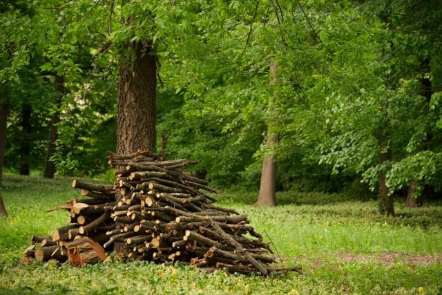 Avoir bois chauffage gratuitement