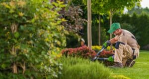 Entretien jardin crédit impôt