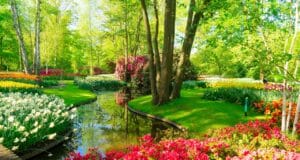 Variétés fleurs planter mai