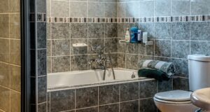 petite salle bain carrelage choix