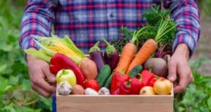 planter légumes printemps