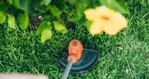 bien choisir debroussailleuse