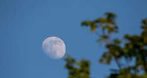 jardiner lune janvier