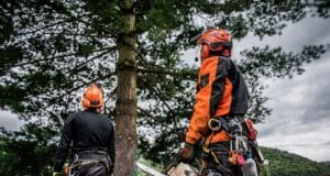 tronconneuse risques