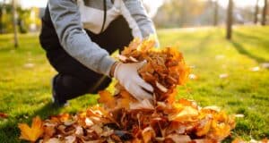 actions préparation jardin avril