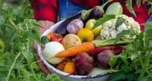 légumes faciles cultiver