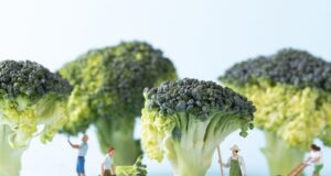 légumes riches oméga 3 jardin