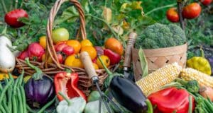 planter légumes avril meilleur rendement
