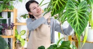 personnes aiment plantes intérieures