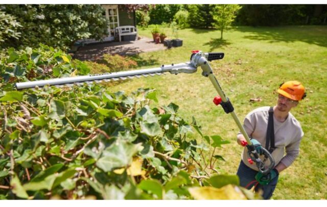 Taille haies manche long Lidl