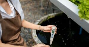 assainissement non conforme