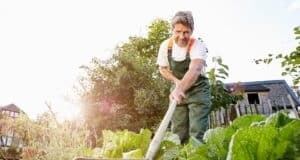 erreurs éviter potager juillet