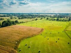 terrains agricoles