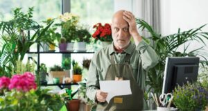 marc cafe plantes jamais