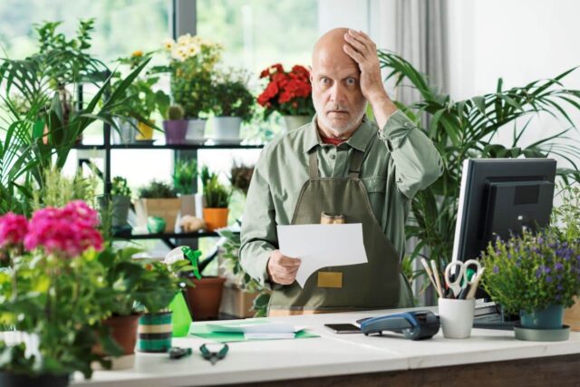 marc cafe plantes jamais