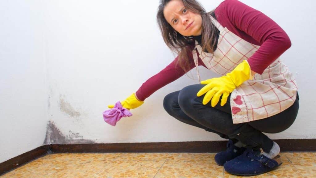 reparación tras daño por agua