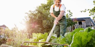 erreurs éviter potager juillet