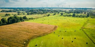 terrains agricoles